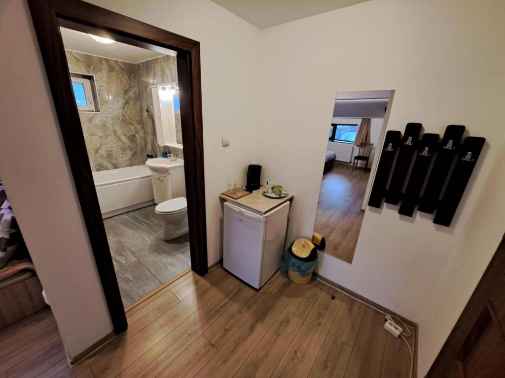 蒂米什瓦拉Apartment Cozia的一间带水槽、卫生间和镜子的浴室