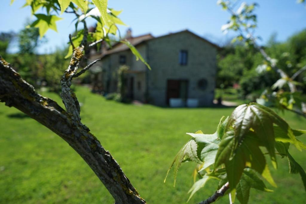 阿巴迪亚圣萨尔瓦托雷CASTAGNA DULCIS的树枝,树枝,有房子的背景