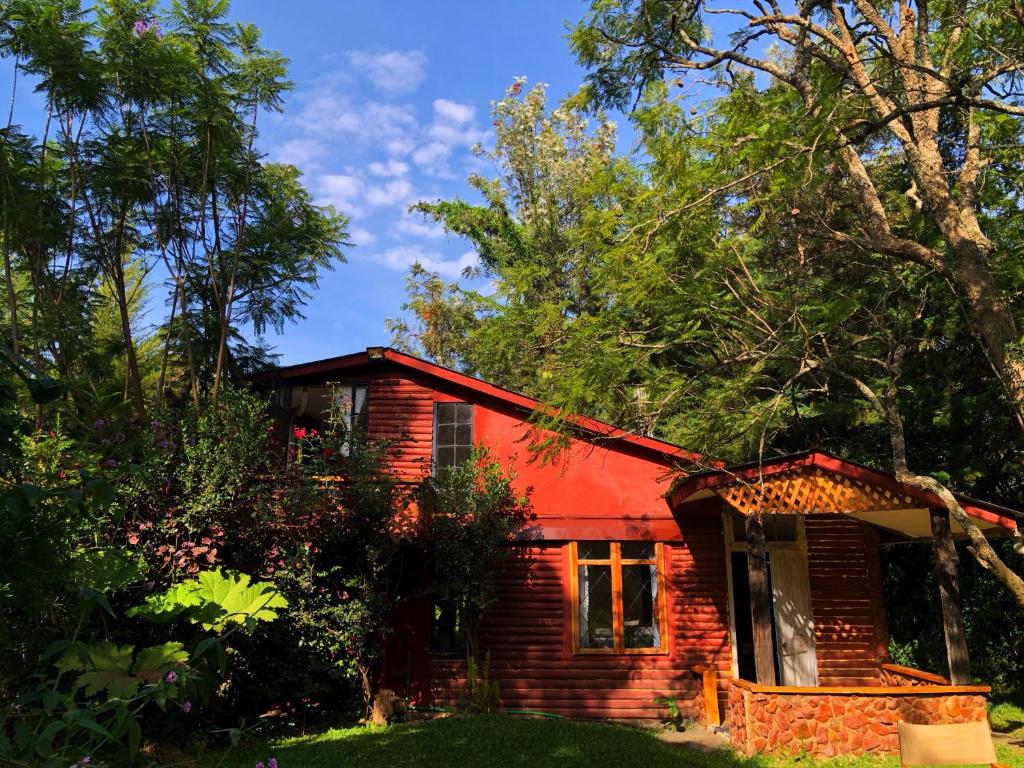 纳纽基The Murana Chalet的树中间的一座红色小房子