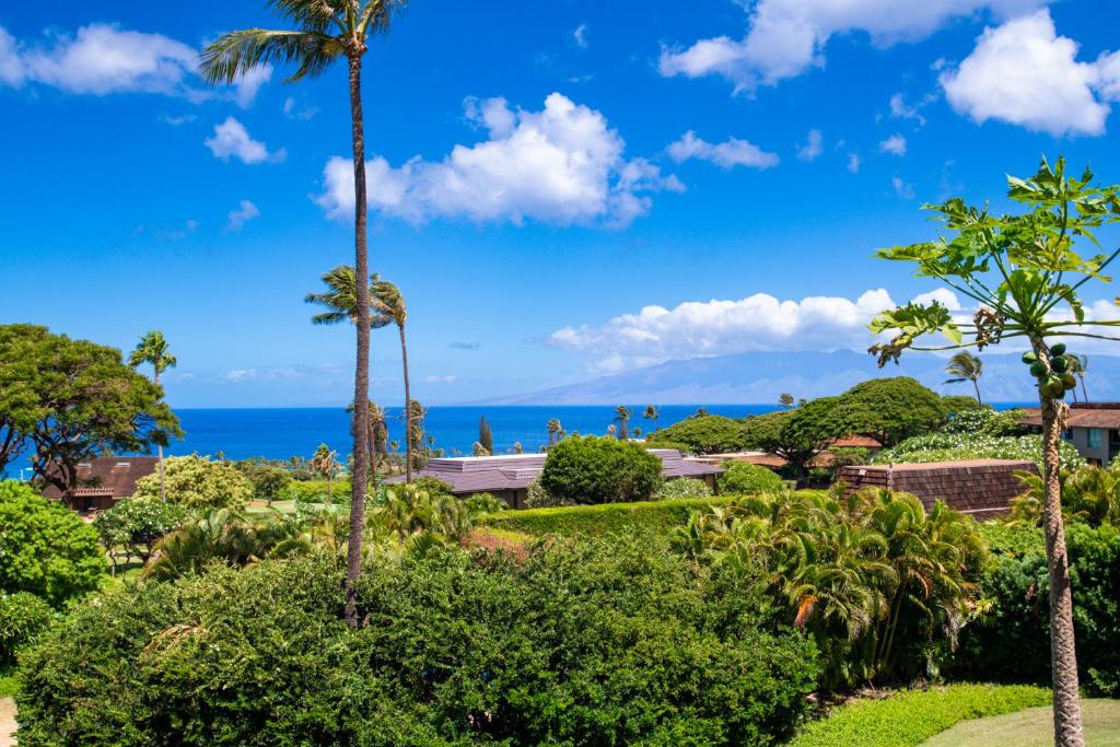 拉海纳Kaanapali Plantation 54的棕榈树度假村的海景