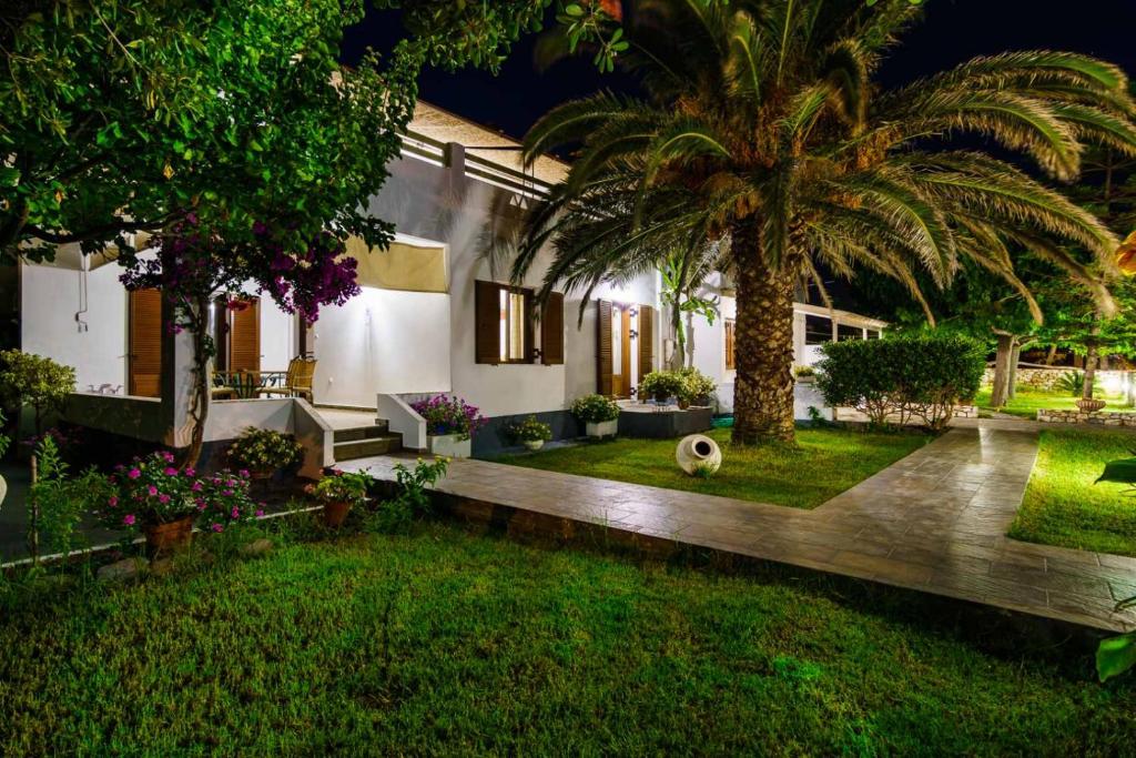 斯基罗斯岛Irini studios的院子里有棕榈树的房子