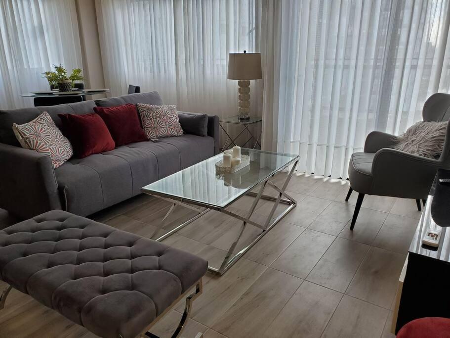 圣多明各Acogedor Apartamento - Regatta Living 2的带沙发和玻璃桌的客厅