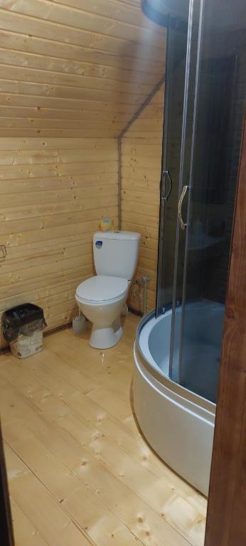 塞尼维斯卡波利亚纳Крайня Хата的木制浴室设有卫生间和淋浴。