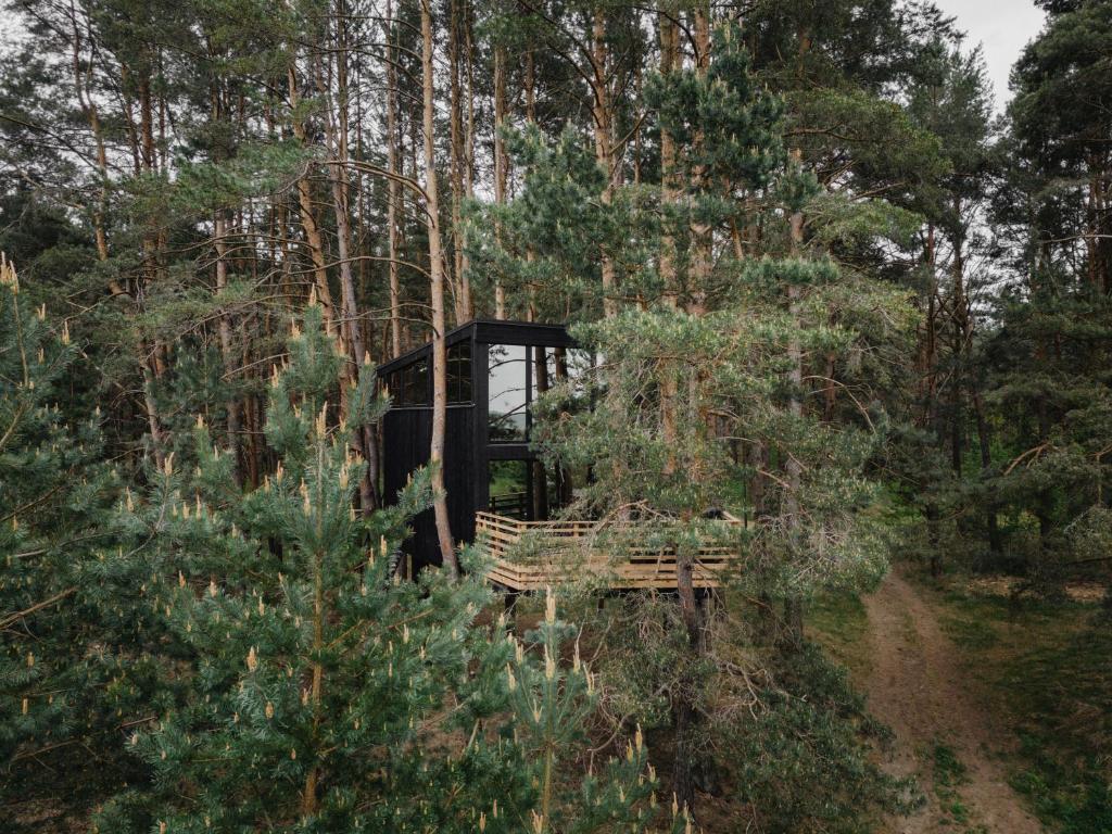 尤尔巴尔卡斯Treehouse Virš Bedugnės的坐在森林中间的长凳