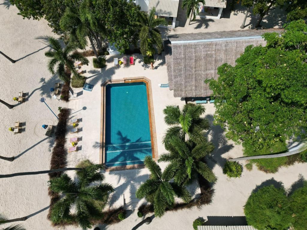 通萨拉Lime N Soda Beachfront Resort的棕榈树海滩上游泳池的顶部景色