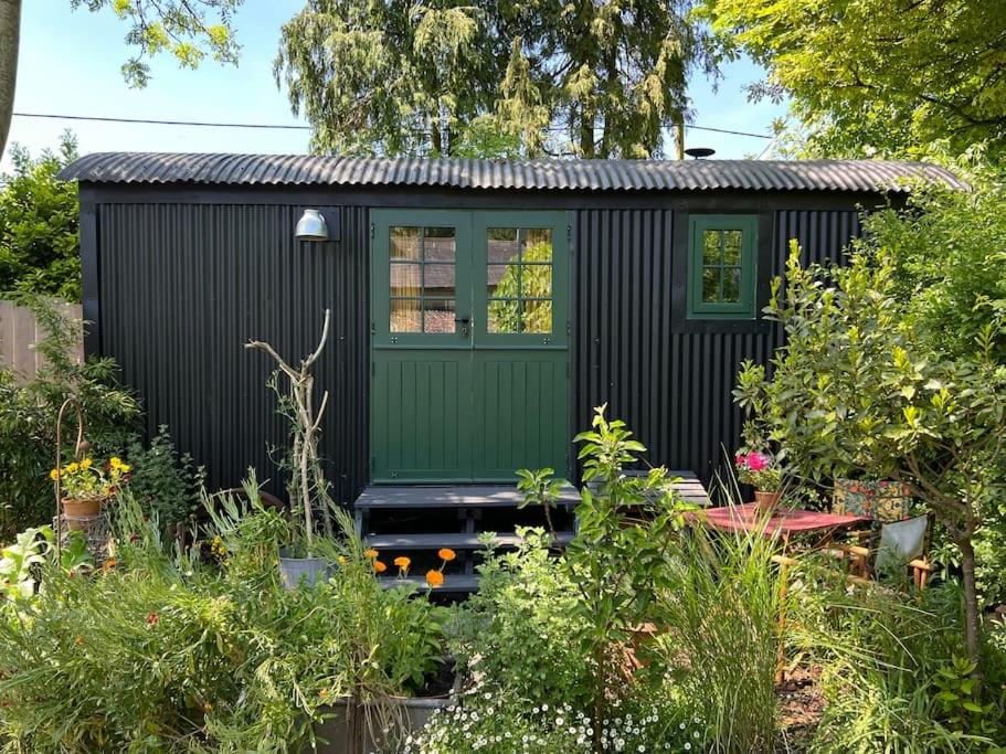 WingfieldThe Rumple Hut的花园里的绿色和黑色小房子