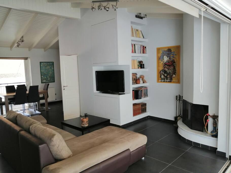 比雷埃夫斯Manolis Loft的带沙发和平面电视的客厅