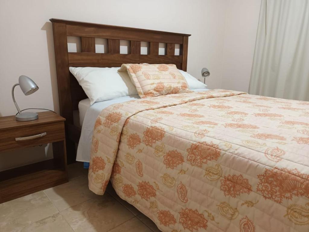 圣拉斐尔Departamento San Rafael - Sobre Paseo Chile的一间卧室配有一张床和一张带台灯的桌子