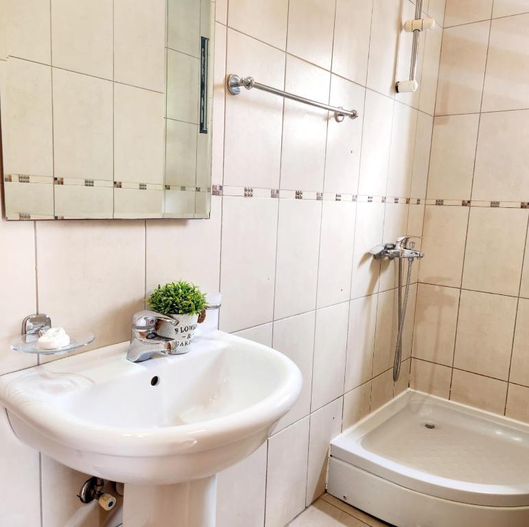 拉法洛维奇A step to the sea-Na korak do mora-Studio apartments Bela kuća的白色的浴室设有水槽和卫生间。