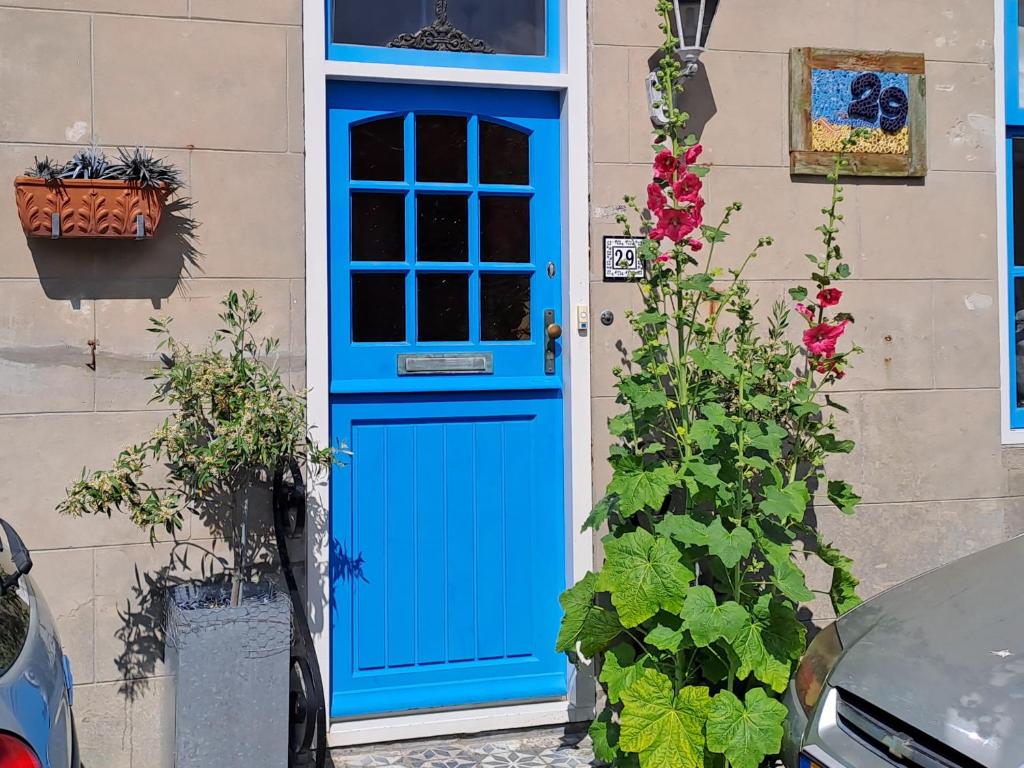 佐特兰德Unia's Verhuur的花房边的蓝色门
