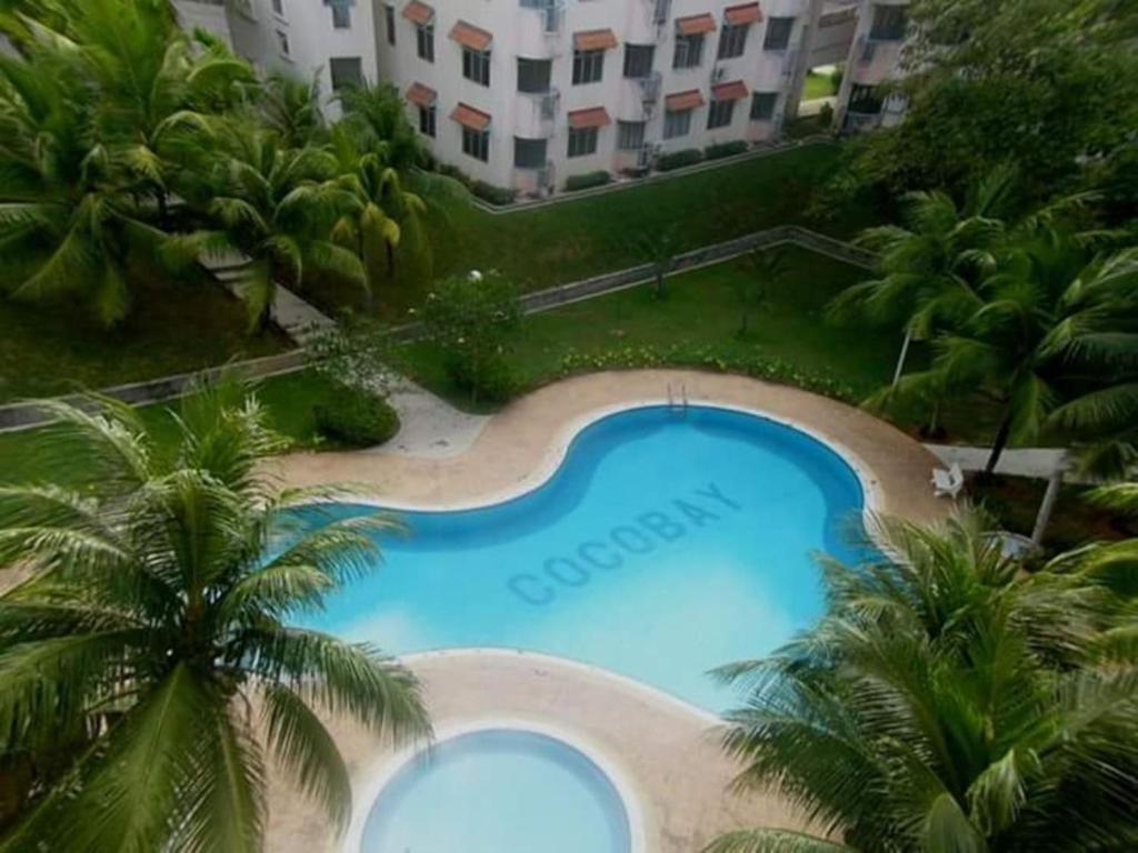 波德申可可湾放松公寓的享有棕榈树大型游泳池的顶部景致