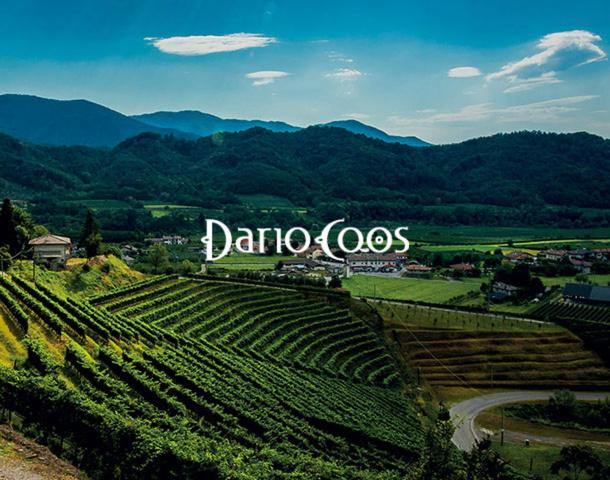 Dario Coos srl - Azienda vinicola的葡萄园,上面有读达里亚里斯的标志