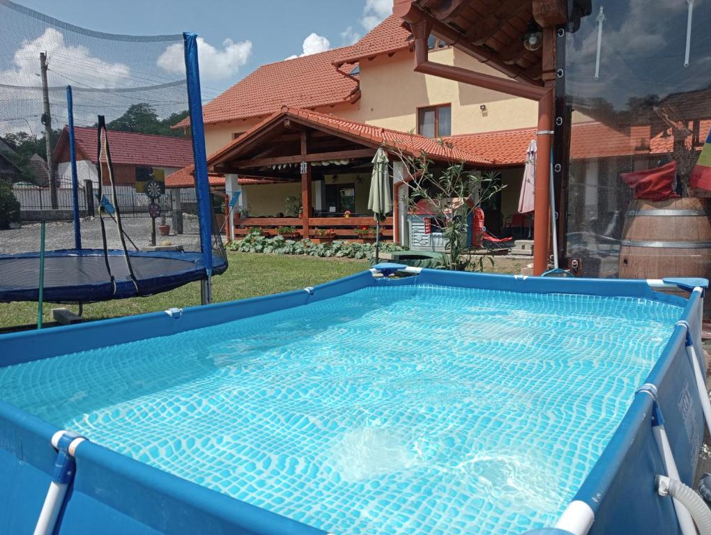 锡比乌盐矿镇Casa Raisa & Maria的一座大蓝色游泳池,位于房子前