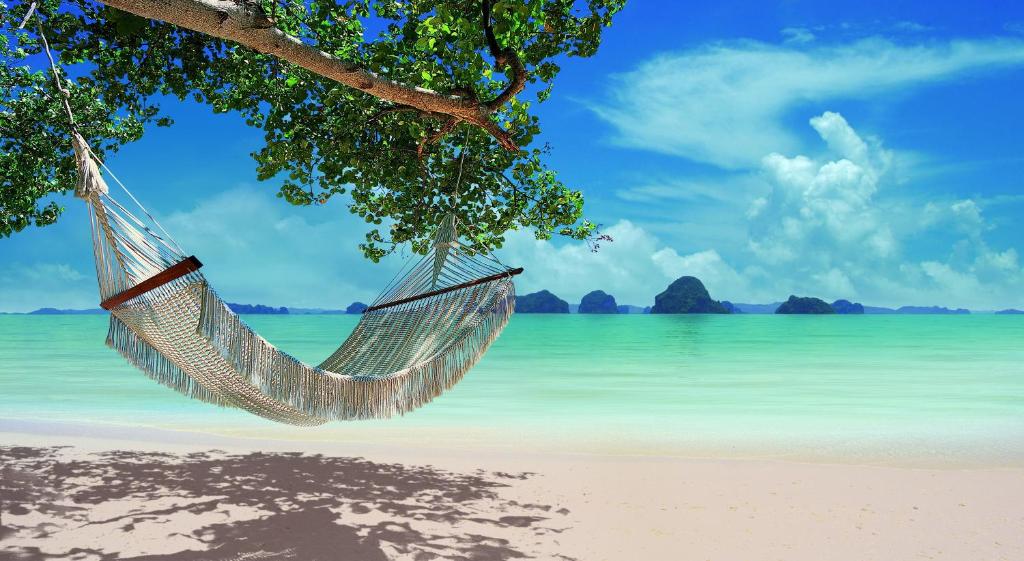 塔可克海滩The Tubkaak Krabi Boutique Resort - SHA Extra Plus的海滩上树上的吊床