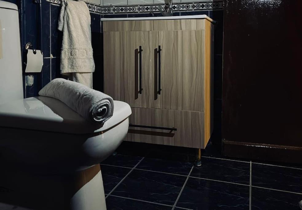 开罗lovely apartment in Zamalek的一间带卫生间的浴室和一个带毛巾的橱柜