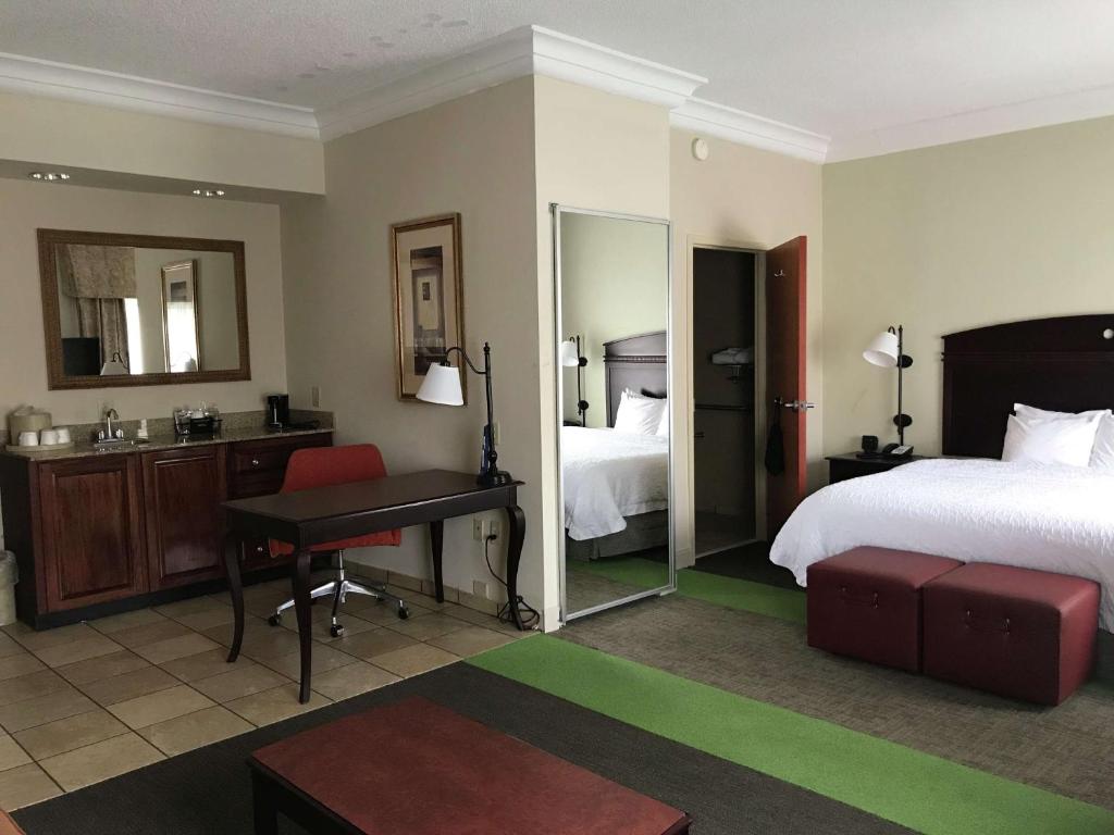 维代利亚维达利亚汉普顿酒店的酒店客房,配有床和镜子
