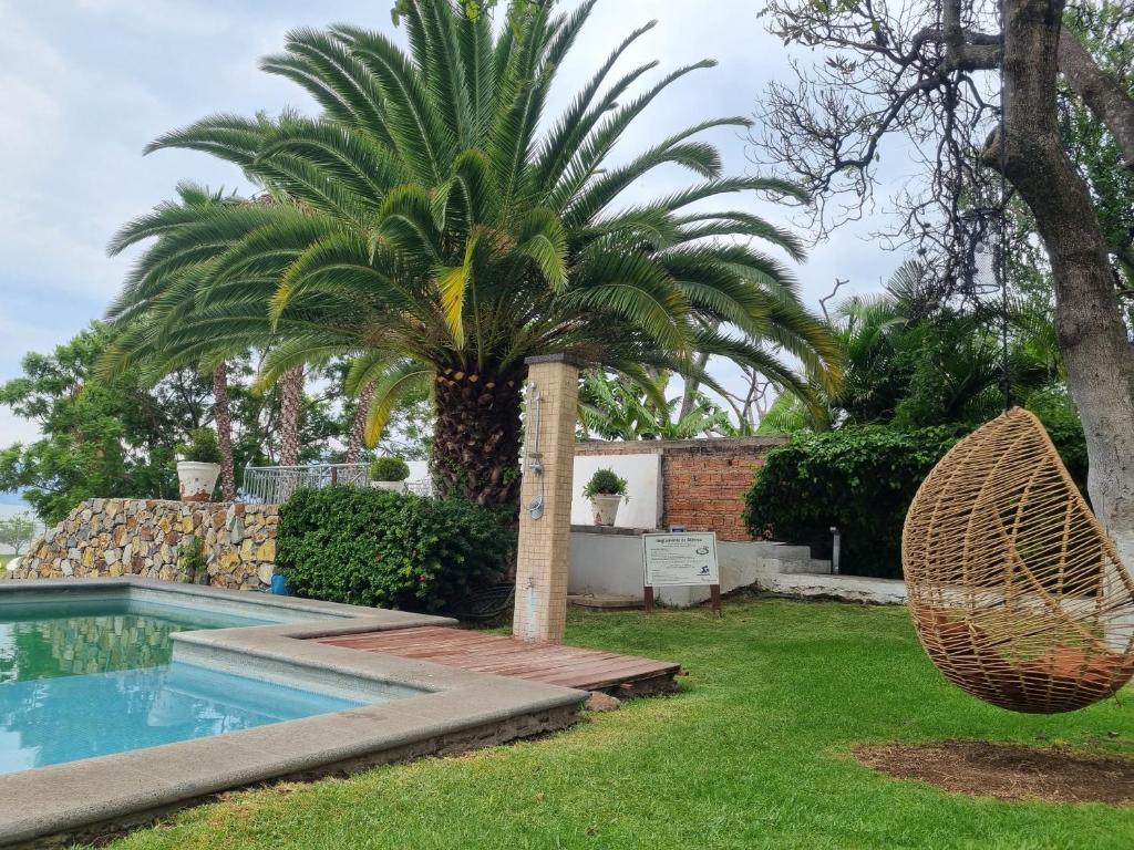 阿吉吉克河畔酒店的游泳池旁的棕榈树