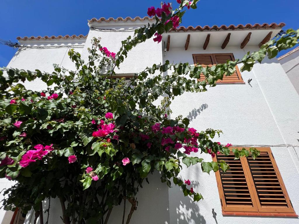 阿尔塔夫拉El Xalet d’en Joan Maria d’Altafulla的一座白色的建筑,上面有粉红色的花朵