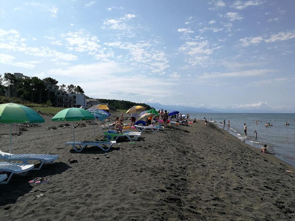 谢赫维蒂利shekvetili的一群人坐在海滩上,拿着遮阳伞