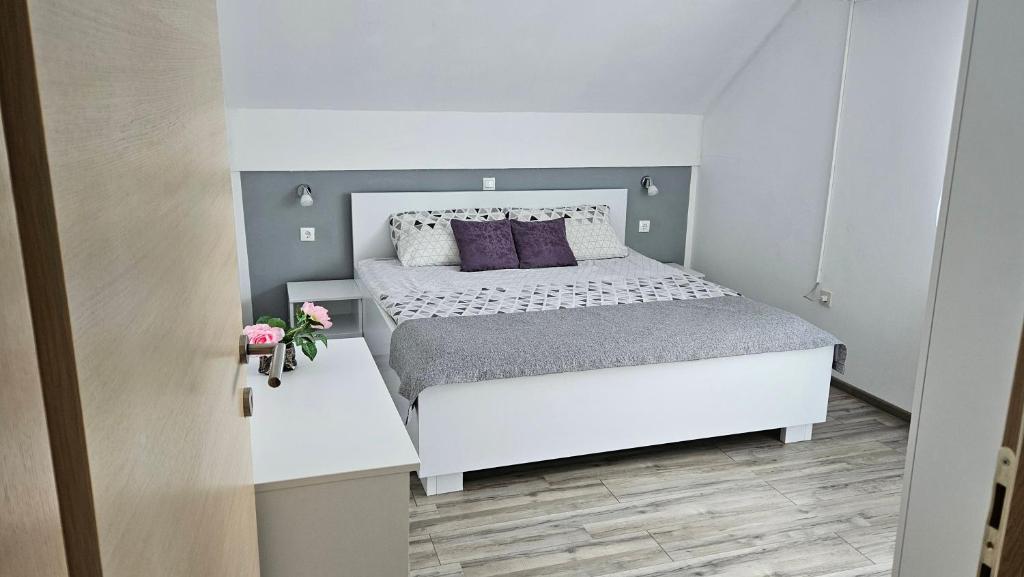 斯莫利亚纳茨Apartment Andrea的卧室配有白色床和紫色枕头