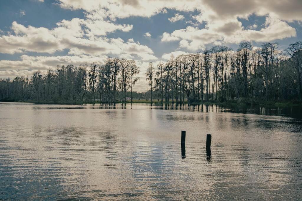 鲁兹The Lake House (Tampa / LUTZ area)的一大片水,有树在背后