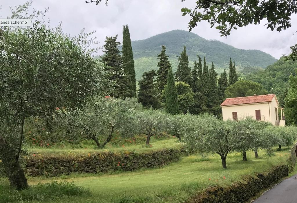 巴尼圣菲利波Podere San Biagio的一座种有树木的花园,一座建筑和一座山