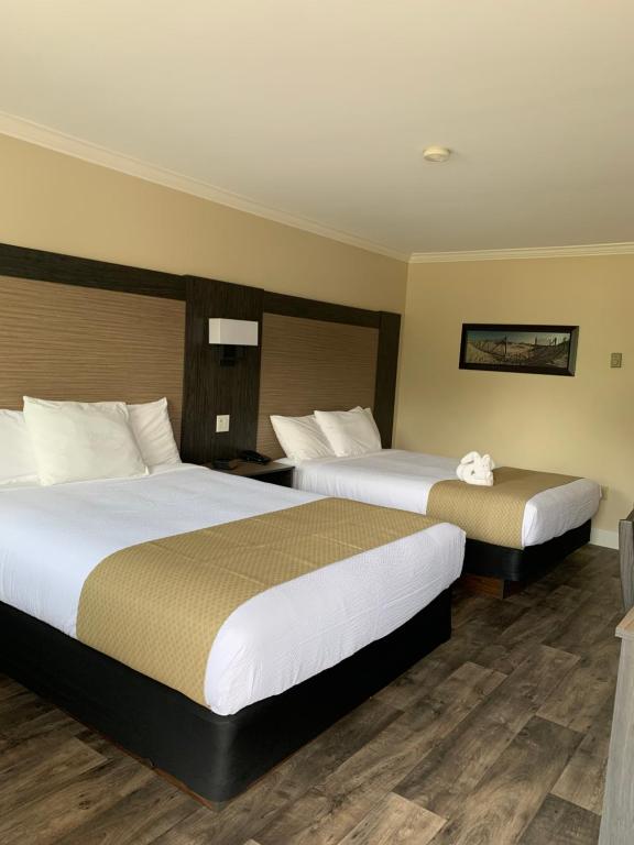 萨默赛德Cairns Motel的配有两张床的酒店客房中的两张床