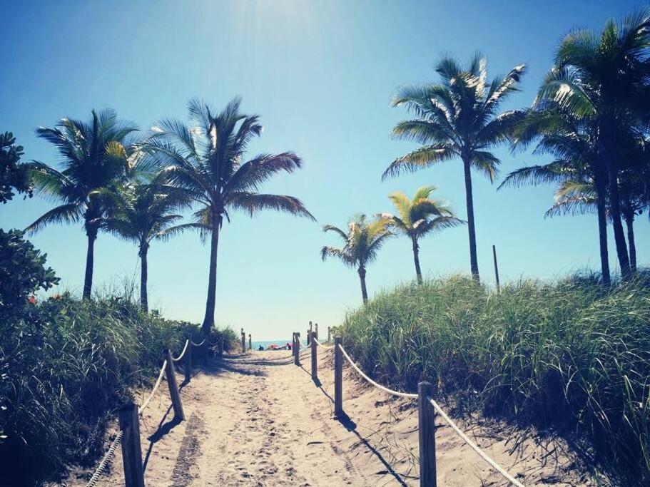 迈阿密海滩JUST 1 BLOCK FROM THE BEACH!的海滩上一条种有棕榈树的土路