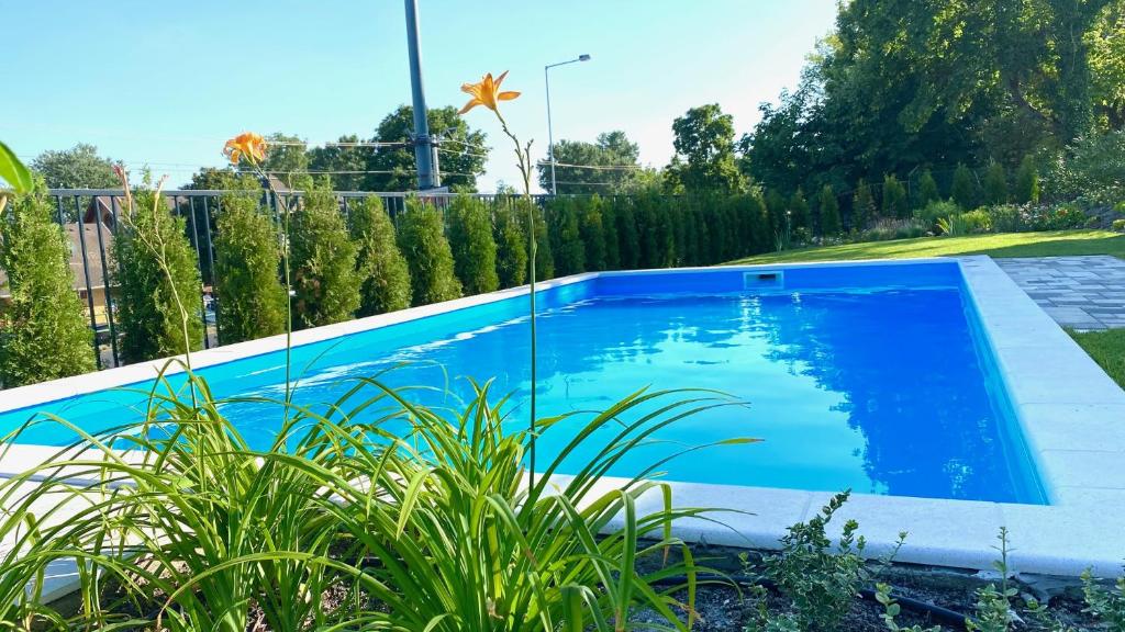 下厄尔什Eastlake Apartman的种植了植物的院子中的蓝色游泳池