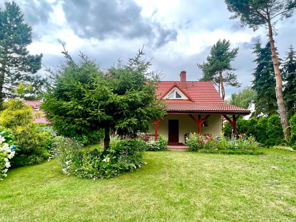 RogoźnoFantastyczny domek 5-min od jeziora Łukcze的一座有绿树的庭院