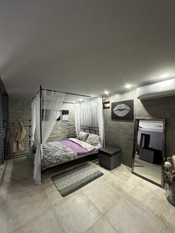 基希讷乌Современная Вилла的一间卧室配有天蓬床和镜子