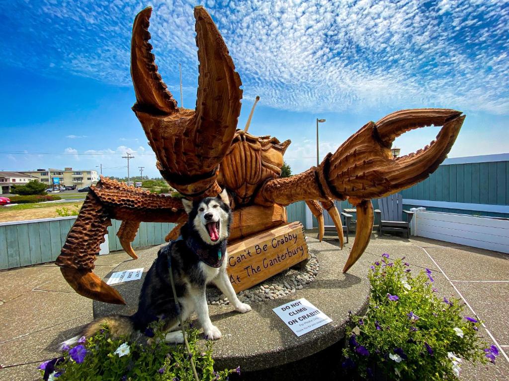 洋滨市坎特伯雷酒店的狗坐在雕像前