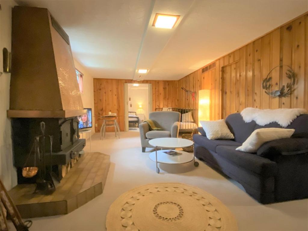 拉瓦尔Montreal - Laval Haven - Entire rental unit的带沙发和壁炉的客厅