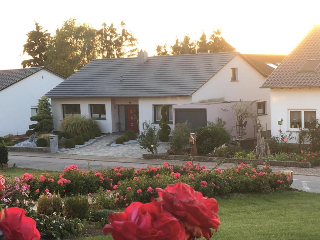 佩尔DreiländerOase的院子里的白色房子,有红色的鲜花