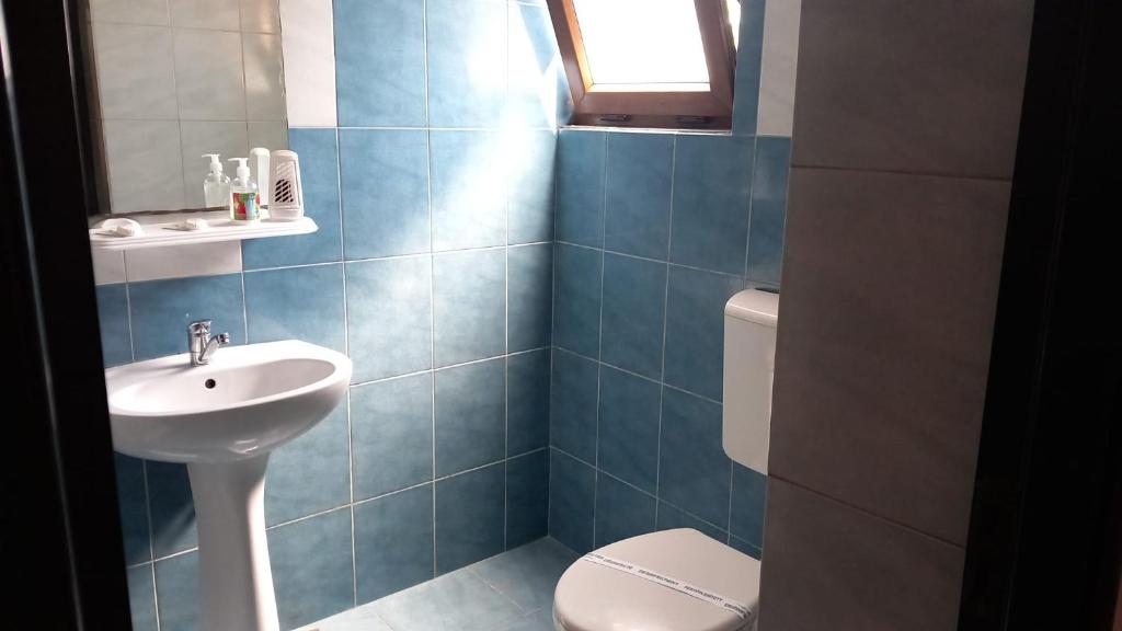 图尔恰CASA ADELA的蓝色瓷砖浴室设有水槽和卫生间