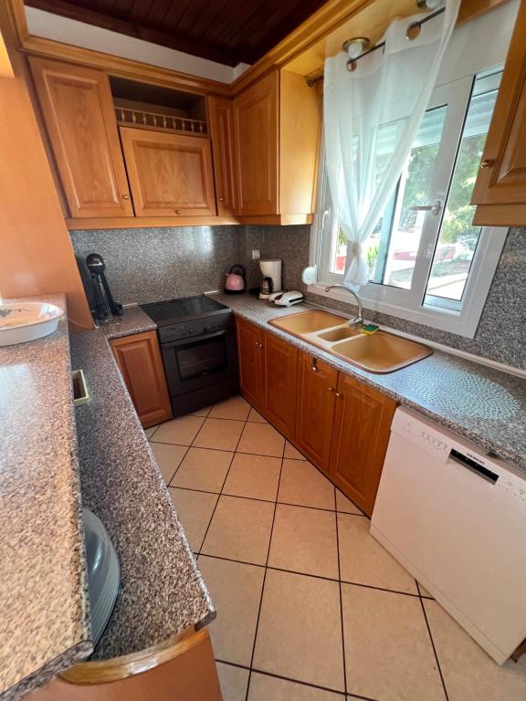 拉夫里翁Luxury Country Home的厨房配有木制橱柜、水槽和窗户。