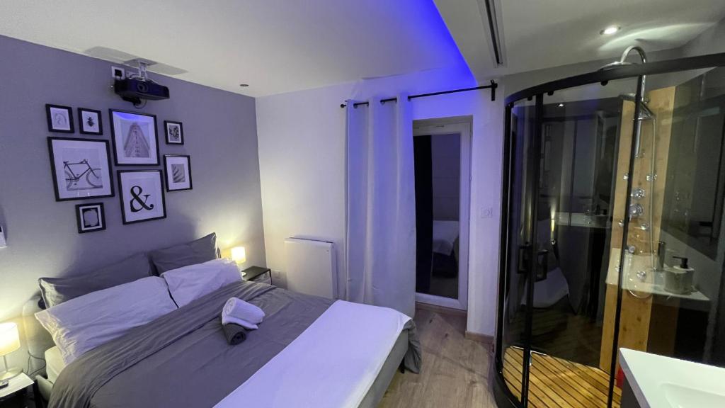 多勒Bienvenue chez vous "appartement classé 2 étoiles en RDC avec espace extérieur et parking"的一间卧室设有一张床和一个玻璃淋浴间