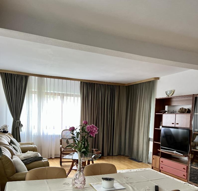 百乐·奥拉内斯蒂Apartament Confort - Baile Olanesti的带沙发和电视的客厅