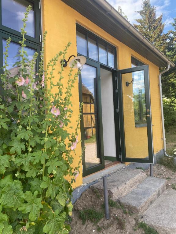 福堡Gamle Præstegård的一座黄色的房子,有黑窗和植物