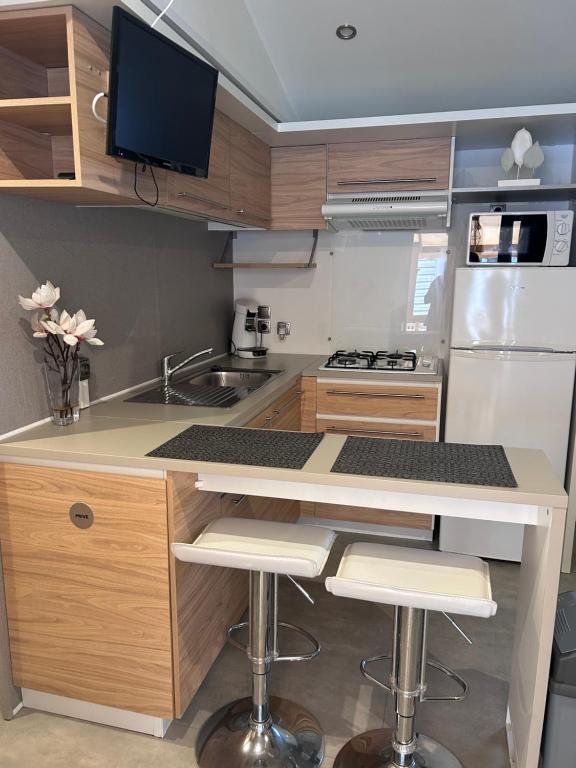 勒格劳德阿格德Les Sables d’Or的厨房配有带水槽的柜台和冰箱。