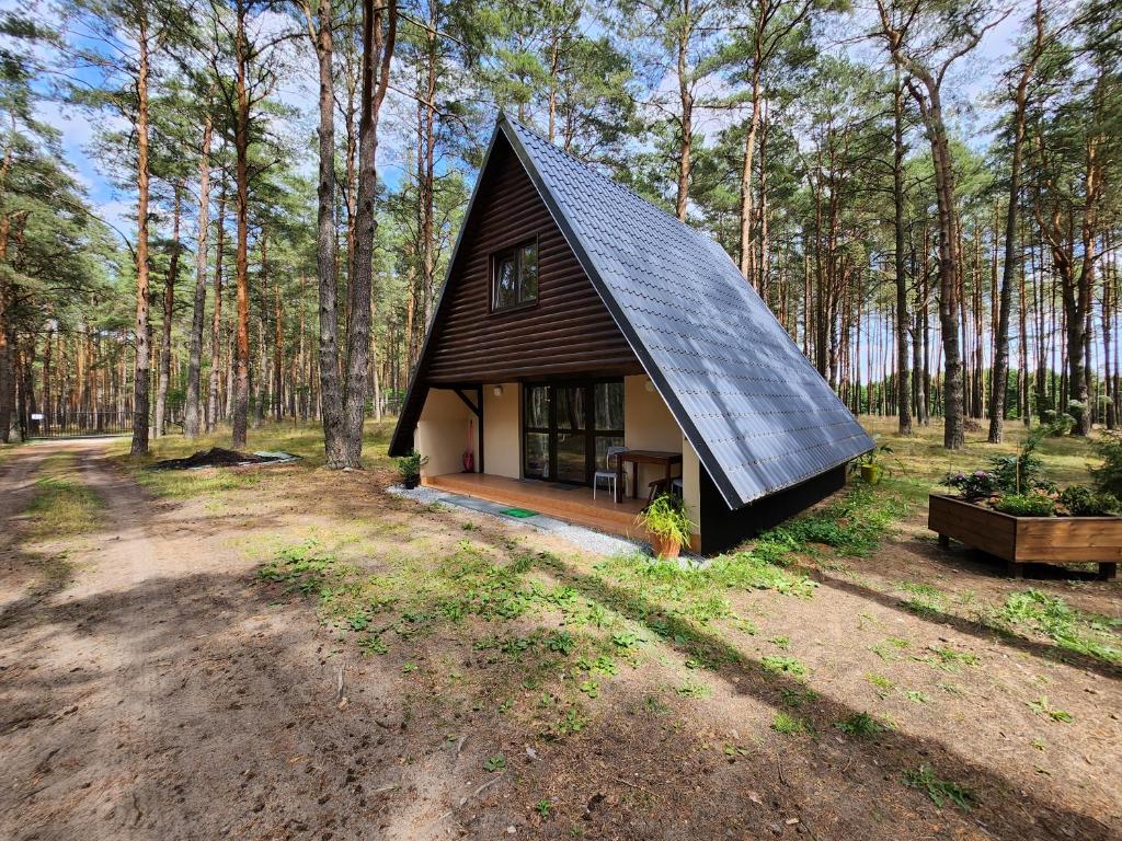 OsiekJak Tu Sielsko的森林中一座黑屋顶的小房子