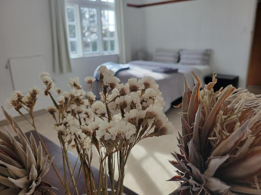 奥克兰1920s Classic Cozy 2-Bedroom Villa Apartment in Parnell的花瓶,上面有白色的花朵