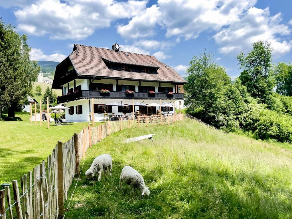 ArriachGasthof Arriach的三只羊在房子前面的田野上放牧
