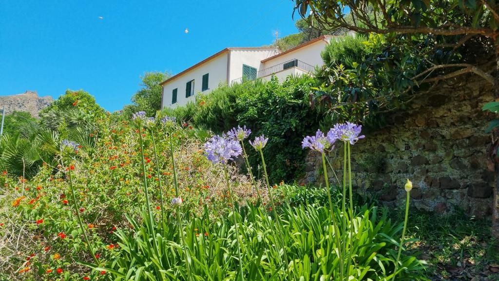 SantʼAnnaVilla Podere I Cavalieri的鲜花盛开的花园以及背景建筑