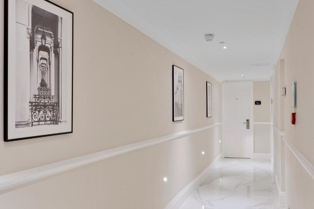 Cleveland Residences Paddington平面图