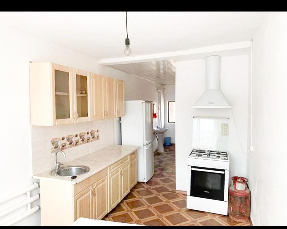 TossorTunuk Guest House的厨房配有水槽和白色冰箱
