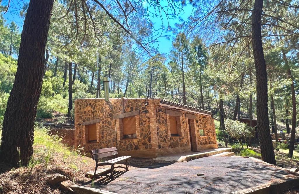里奥帕尔Casa Rural Riópar, luxury in nature的树林中的小木屋,前面设有长凳