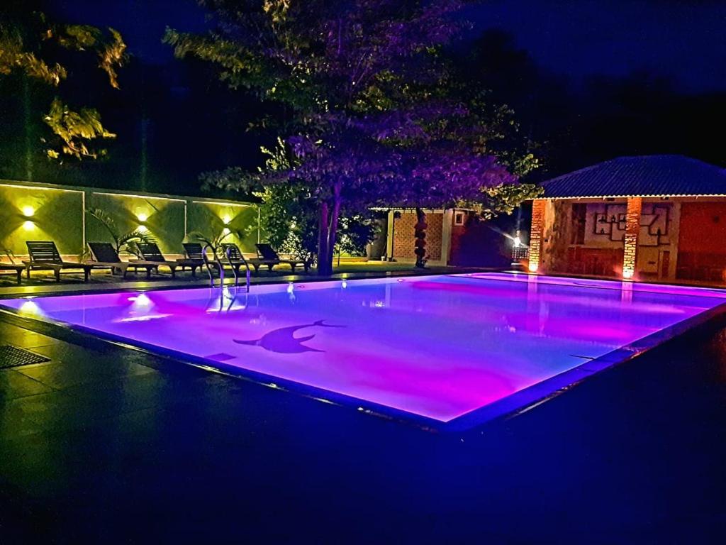 锡吉里亚NATURALIZA的游泳池晚上有紫色的灯光
