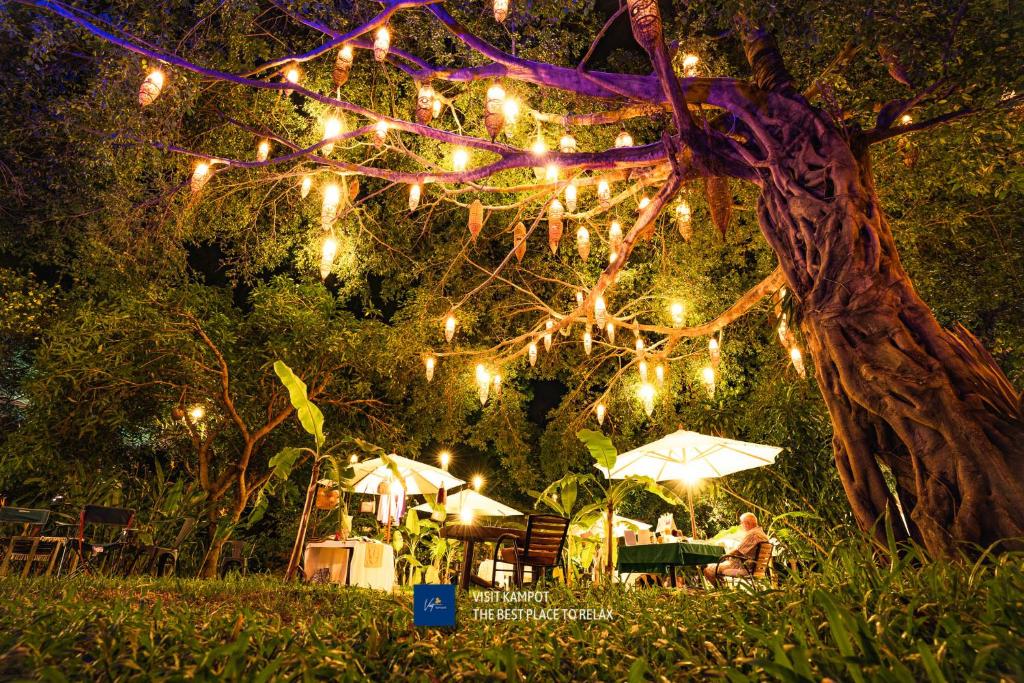 贡布Devi Kampot Resort at Phum Kampot的挂在桌子上的一棵树,上面挂着灯