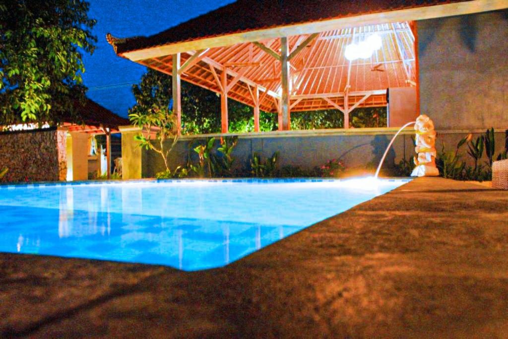 蓝梦岛霍吉塔民宿的夜间在房子前面的游泳池
